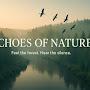 @EchoesofNature-j2m