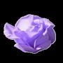 @purpleapple6