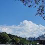 @보라보라-m2z