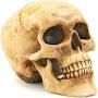 @RAHIT10
