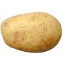 A Lonely Potato