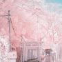 @陳冠宏-p9g