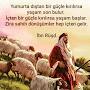 @nisaaslan9432
