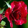 @Princess32-19