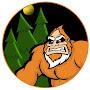 @colossalbigfoot256