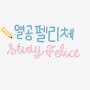 @열공펠리체