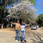 @aquarismobrasiloficial2512