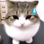 @overlord-o5w
