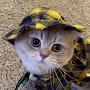@th3graduate292