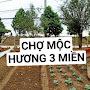 @chomochuong3mien872