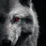 @abdouf9000