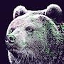 @psychede1icbear941