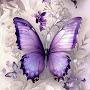 @Sweetie_9995