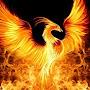 @PhoenixDoes