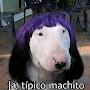 @franciscotavares4600