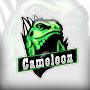 @cameleonrecords6951