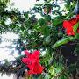 @naturelover12607