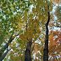 @outdoorsinc.8261