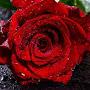 @user-sk9vl3qy3
