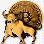 @theblockchainbulls