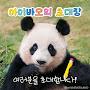 @Aibao1