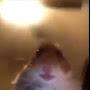 @ersul_