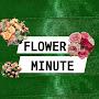 @flowerm.official