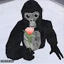 @GorillafunadventureFunny