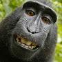 @exhilarating_monkyy