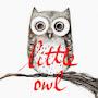 @littleowlbooks8514