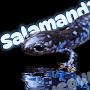 @Salamand3r15
