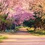 @vivekthakur8785