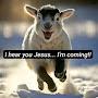 @jesusislordofmylife2833