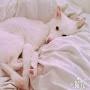 @고서아-k7l