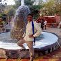 @mohannishad7956
