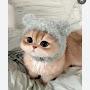 @nigarmmmdrzayev7896