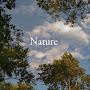 @The_nature505