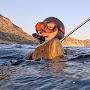 @spearfishing_erhan