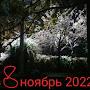 @МСалех