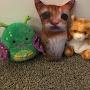 @Perlerbeadcreations