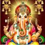 @ashanjeewantha486