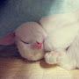 @user-ip4uj1hk8z