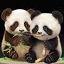@hahaKele