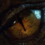 @thesmaug5195