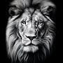 @Lion09887