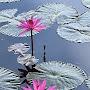@nguoitaynguyen3393