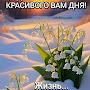 @svetlanaandry4490