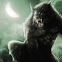 @wolfking8090