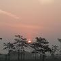 @Suntreecity