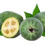 @feijoagreen8320